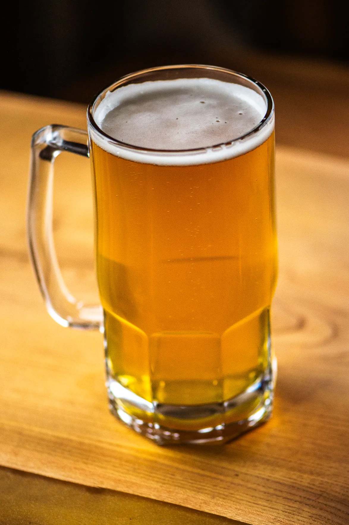 Bier (1)